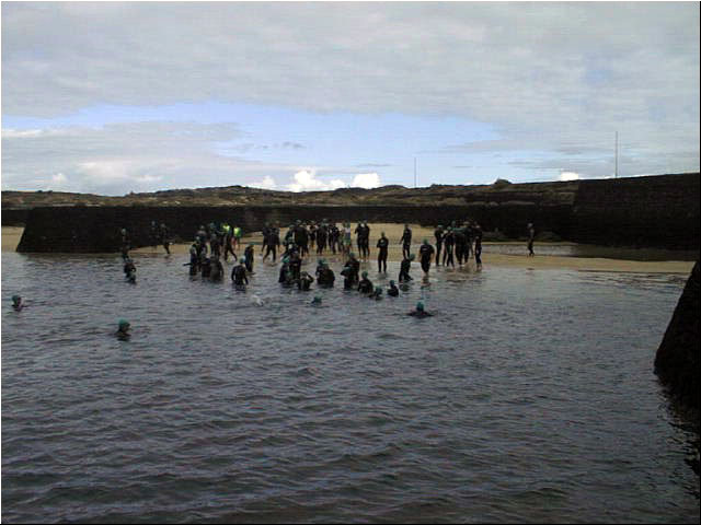 PIC00003.jpg