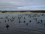 PIC00005.jpg