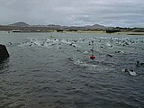 PIC00006.jpg